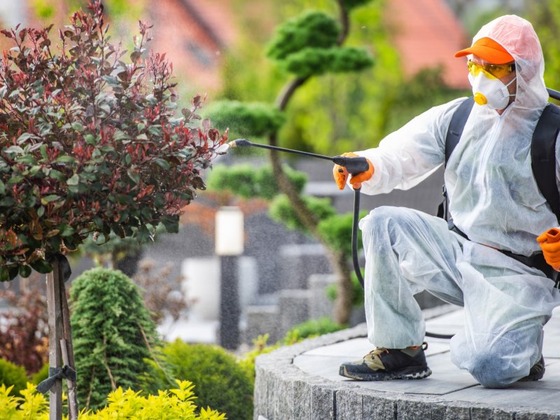 Sultanbeyli Haşere İlaçlama